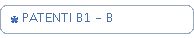 PATENTI B1 - B